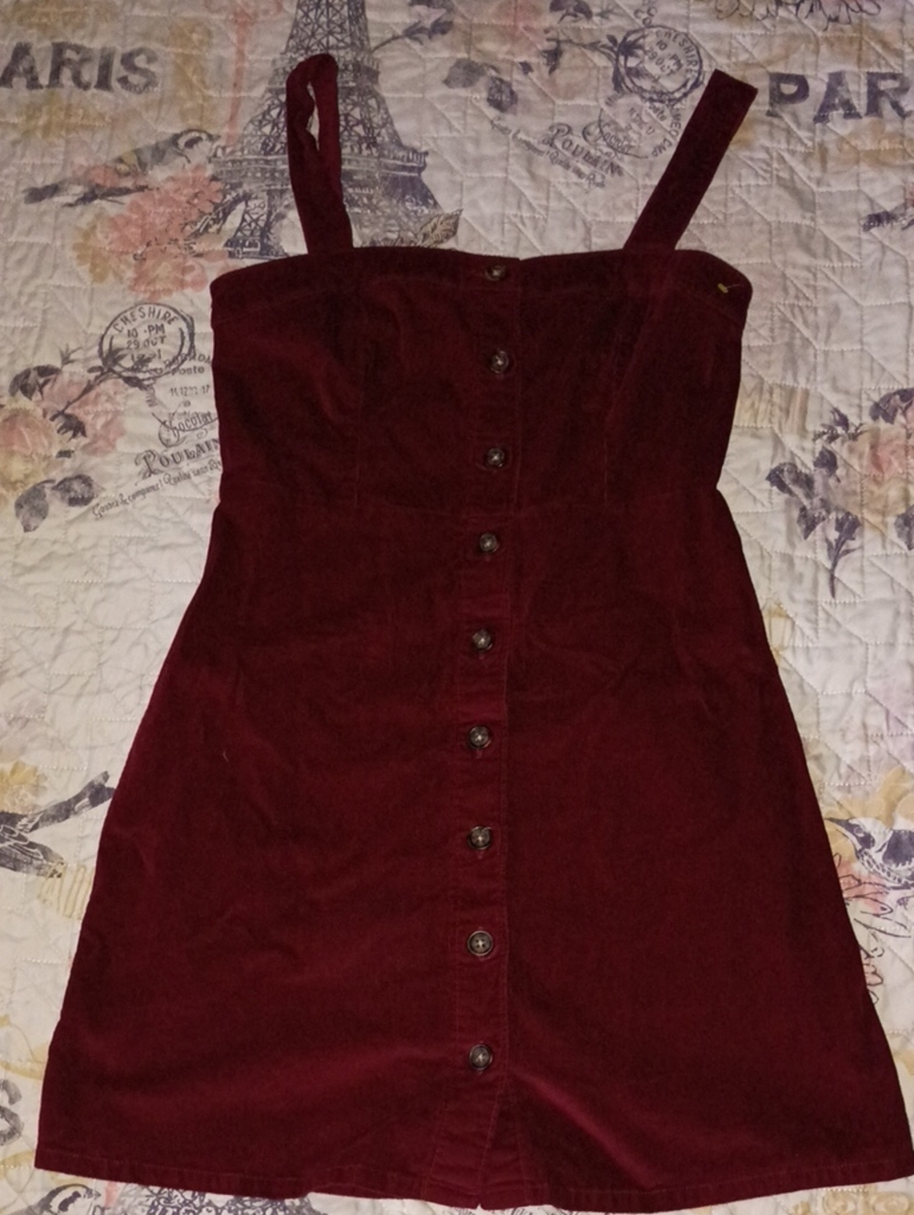 Hollister Burgundy Button-Front Mini Dress